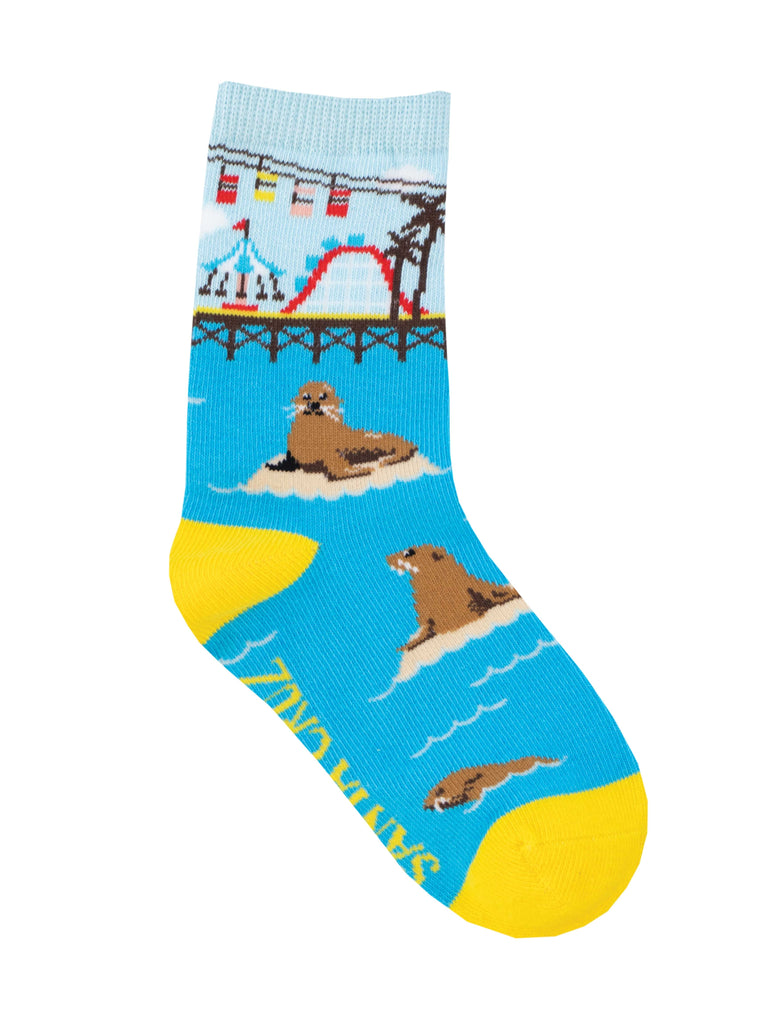 Santa Cruz Wharf Sockshop Shoe Co  santa-cruz-wharf-sockshop-shoe-co