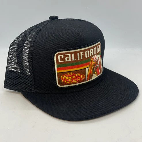 California Bear