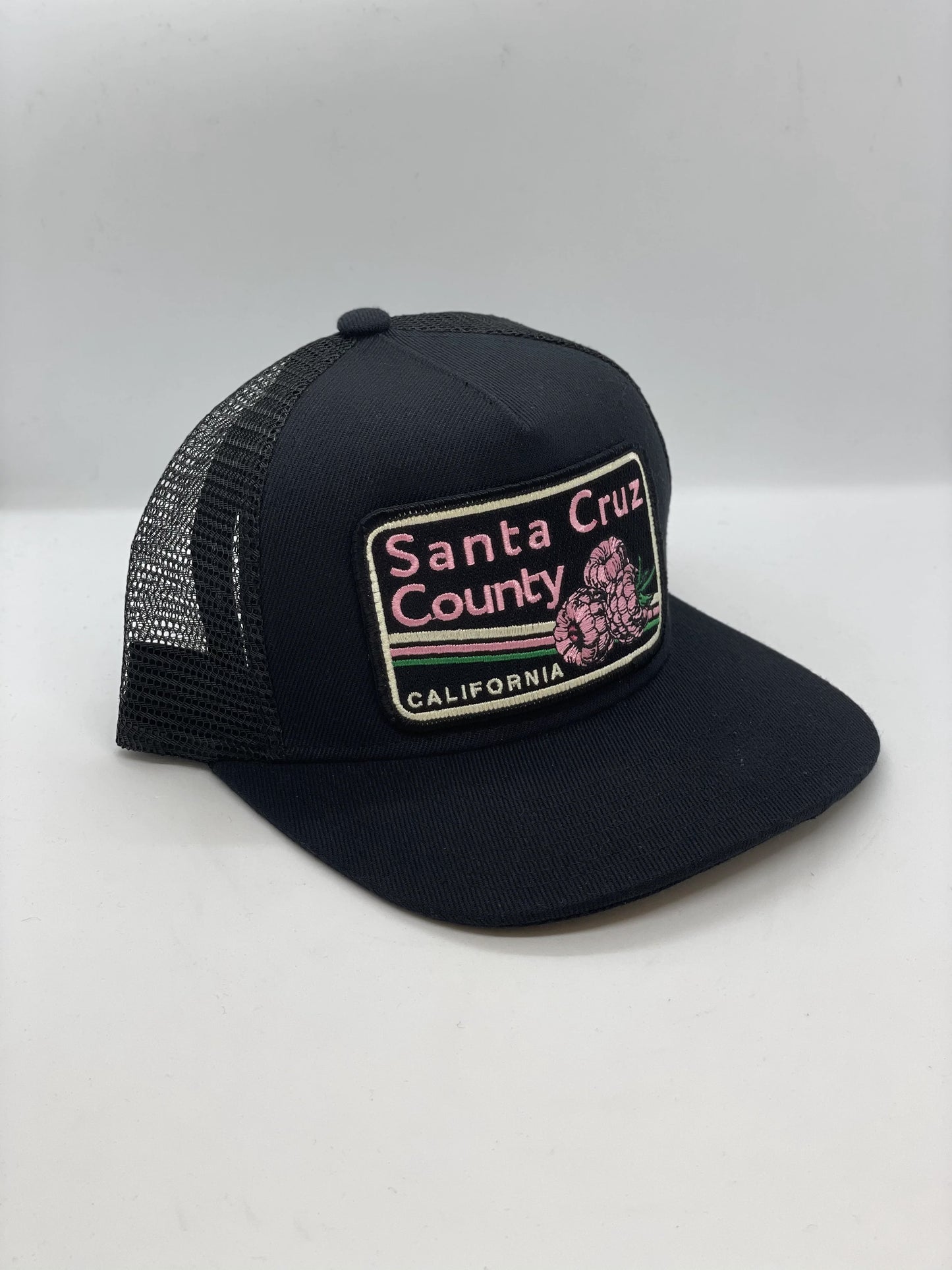 Santa Cruz County