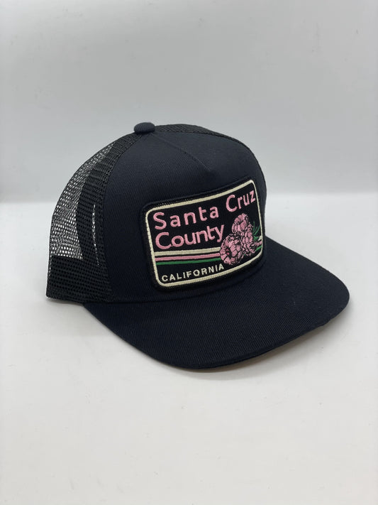 Santa Cruz County